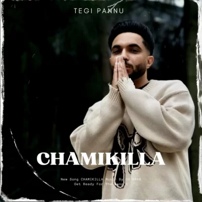 Chamikilla Tegi Pannu song