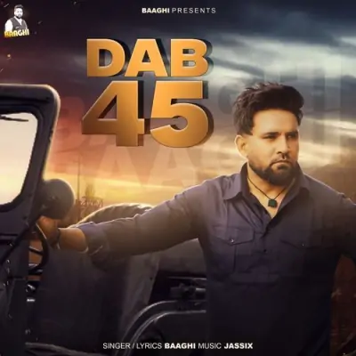 Dab 45 Baaghi song