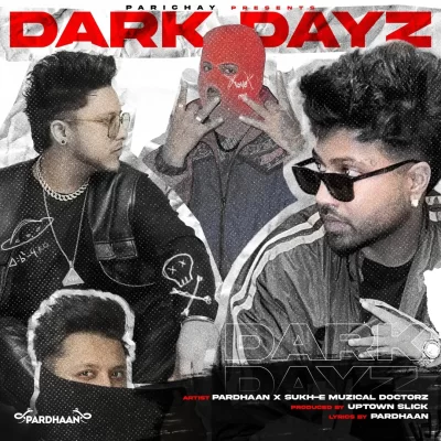 Dark Dayz Sukh E Musical Doctorz, Pardhaan song