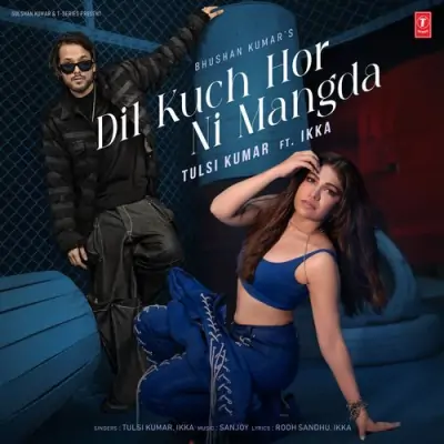 Dil Kuch Hor Ni Mangda Tulsi Kumar, Ikka song