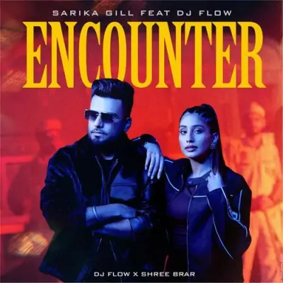 Encounter Sarika Gill, Dj Flow song