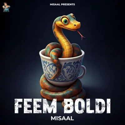 Feem Boldi Misaal song