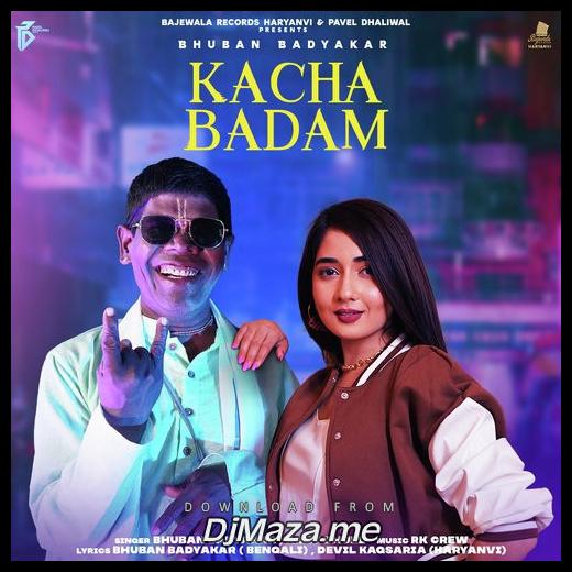 Kacha Badam Amit Dhull song