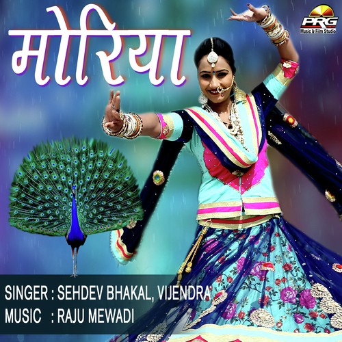 Moriya Sehdev Bhakal, Vijendra song