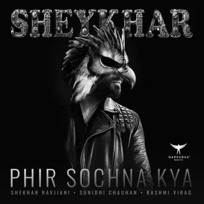 Phir Sochna Kya Sunidhi Chauhan, Shekhar Ravjiani song