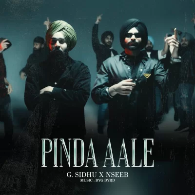 Pinda Aale G Sidhu, Nseeb song