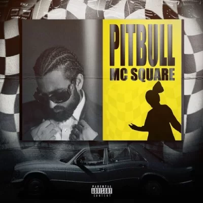 Pitbull MC Square song