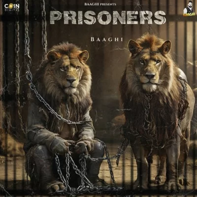 Prisoners Baaghi song