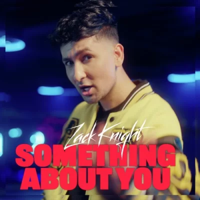 Something About You Zack Knight song