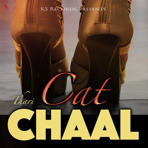 Thari Cat Chaal Siddharth K, Kapil Jangir song