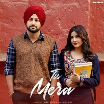 Tu Mera Vicky Sandhu song