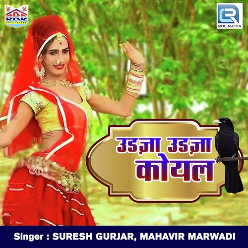 Udja Udja Koyal Suresh Gurjar, Mahavir Marwadi song