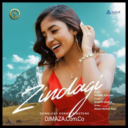 Zindagi Shahid Mallya song